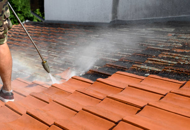 Best Roof Power Washing Services  in Caro, MI