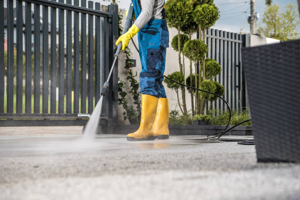 Best Affordable Pressure Washing  in Caro, MI