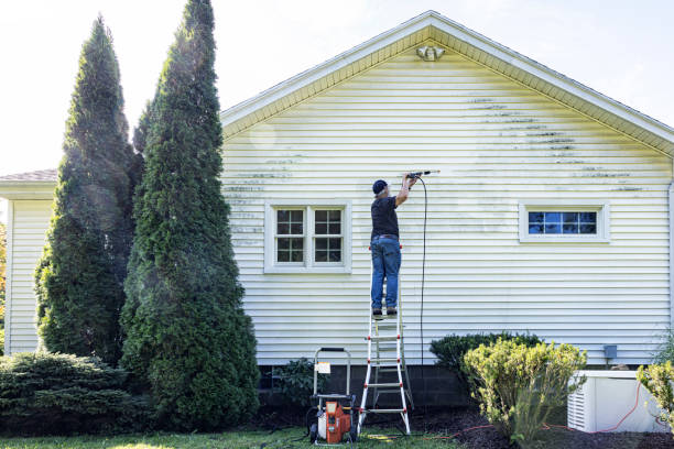 Best Pressure Washing Brick  in Caro, MI