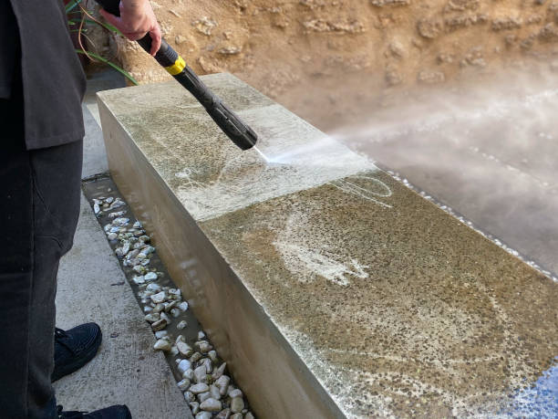 Best Pressure Washing Contractors  in Caro, MI