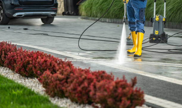 Best Deck Cleaning Services  in Caro, MI