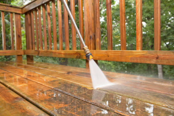 Best Pressure Washing Company Near Me  in Caro, MI