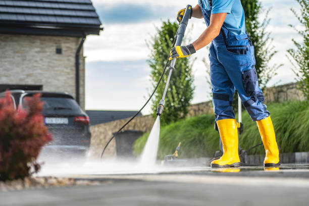 Best Deck Cleaning Services  in Caro, MI